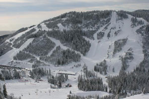 Olympic-Sized Fear: No Snow