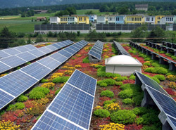 Cool Roofs Seen in Black, White, and Green