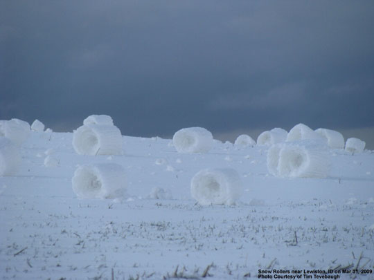 Snow Rollers