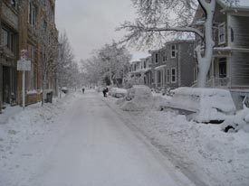 Nowhere to Hide from Snow . . . Except Florida