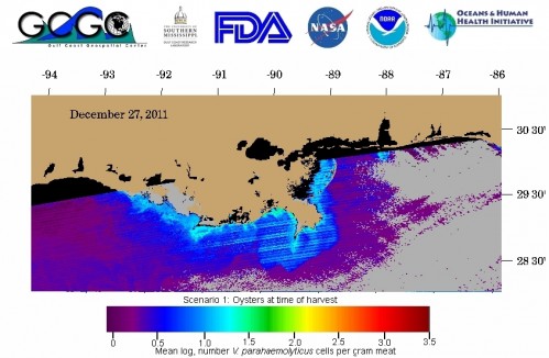 Science for Oysters…and Oysters for Scientists