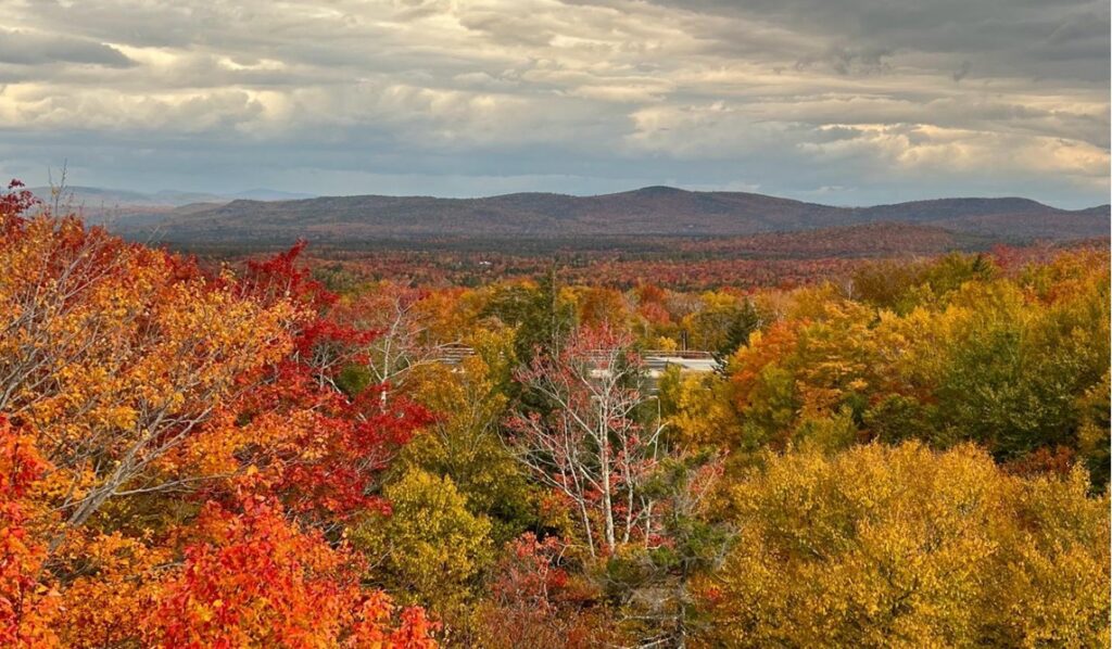 Fall Color Connections: Tree Science, Weather, and Wonder