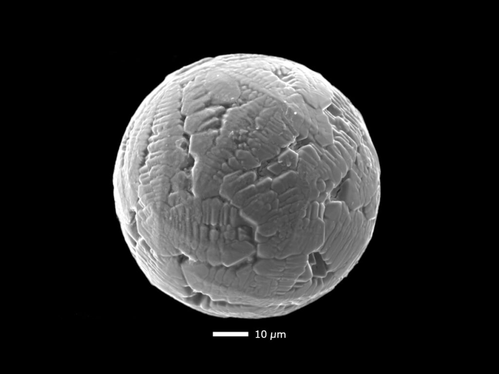 Electron microscope image of a 240-million-year-old micrometeorite.