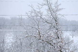 Building Your Toolbox: Winter Weather Forecasting