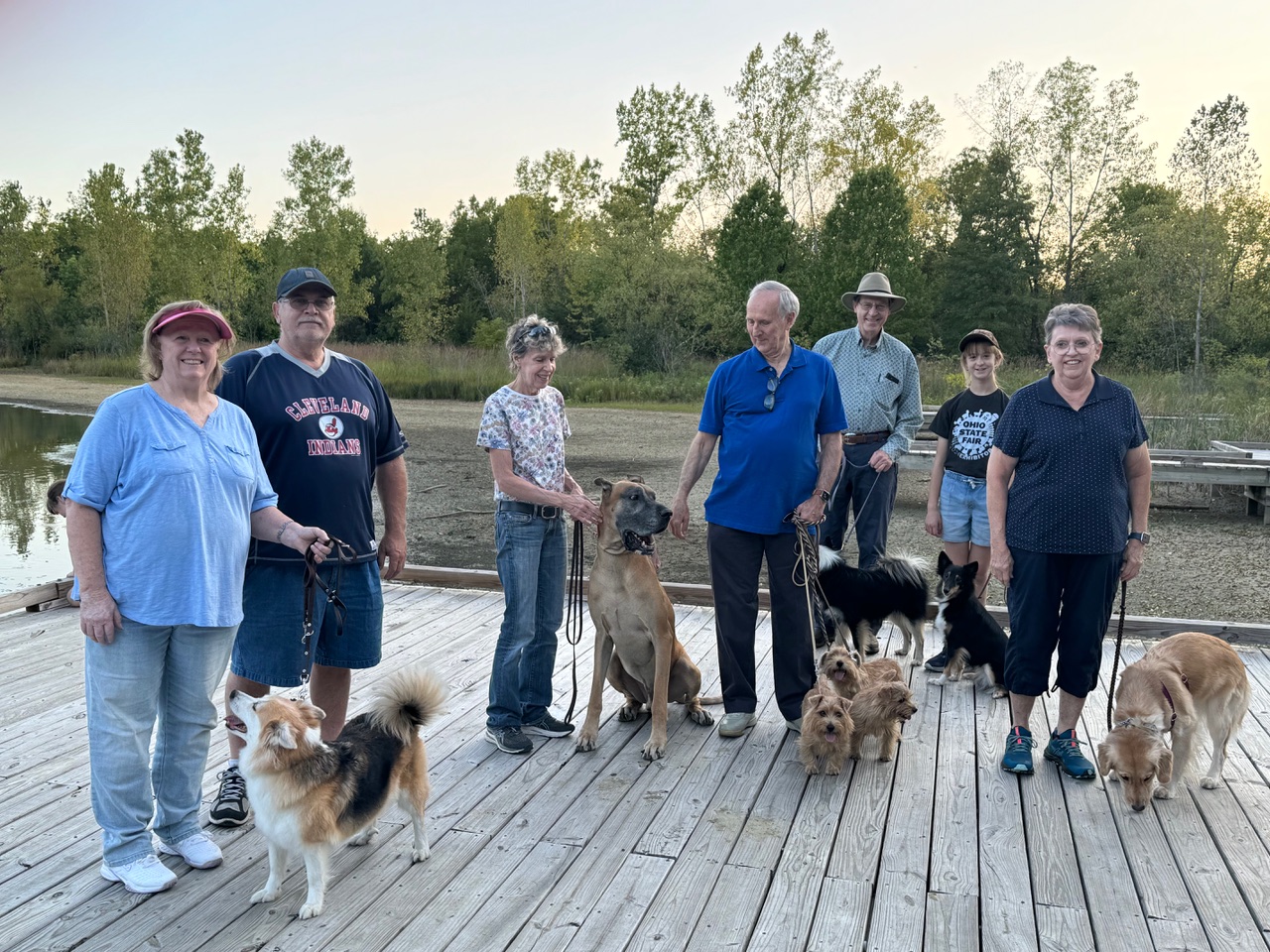 David Bromwich (center, with blue shirt) on a dog walk with his three Norfolk Terriers and other canine enthusiasts. “Notice how small the Norfolks are in relation to the adolescent Great Dane to my left.” [Photo courtesy Sandra Augustine]