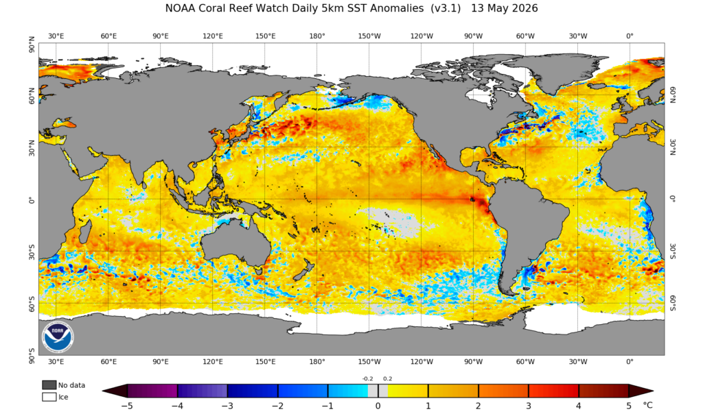 A global map showing sea surface temperature anomalies across all oceans. A very large percentage of Earth's oceans are warmer than they should be for this time of year.