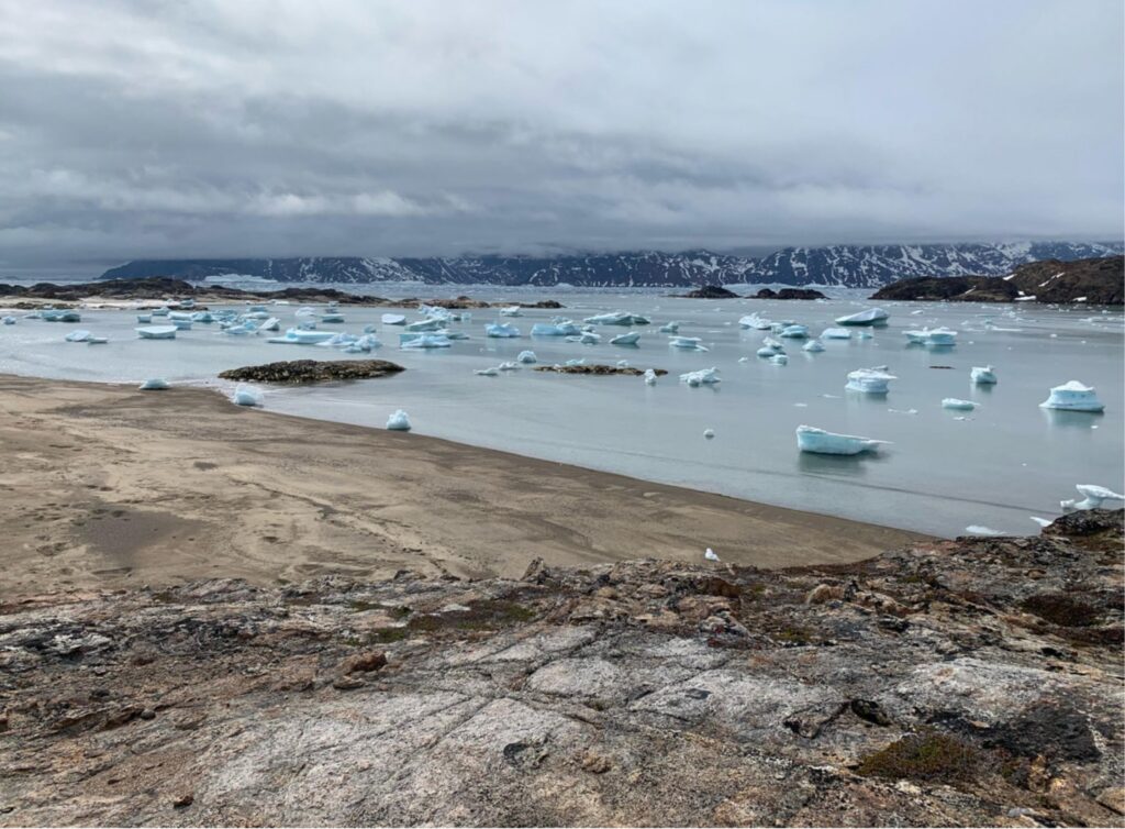 State of the Climate in 2025: Takeaways from the Arctic