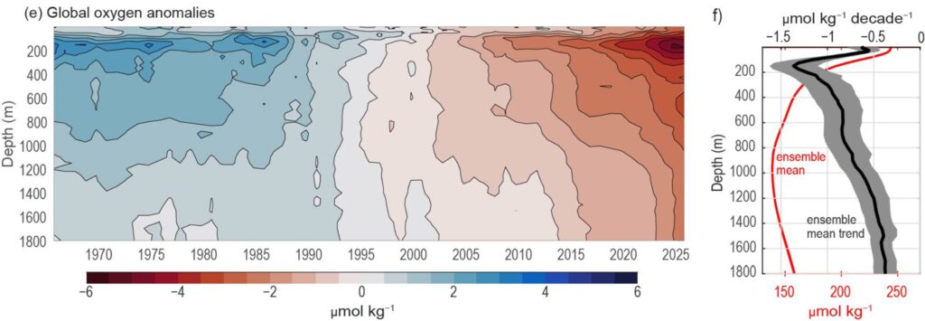 Fig. 3.33 in State of the Climate in 2025 shows a time-depth analysis of how globally averaged oxygen anomalies relative to 1990-–2020 baseline have varied between 1993 and 2025.
