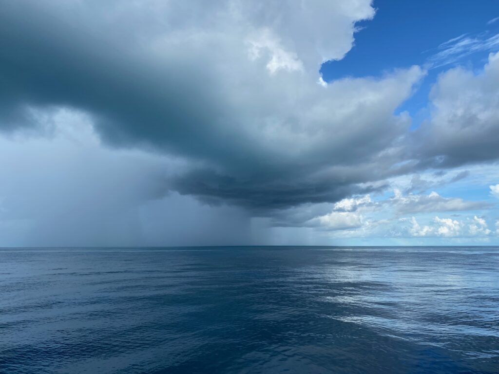 State of the Climate in 2025: Takeaways from the Global Oceans