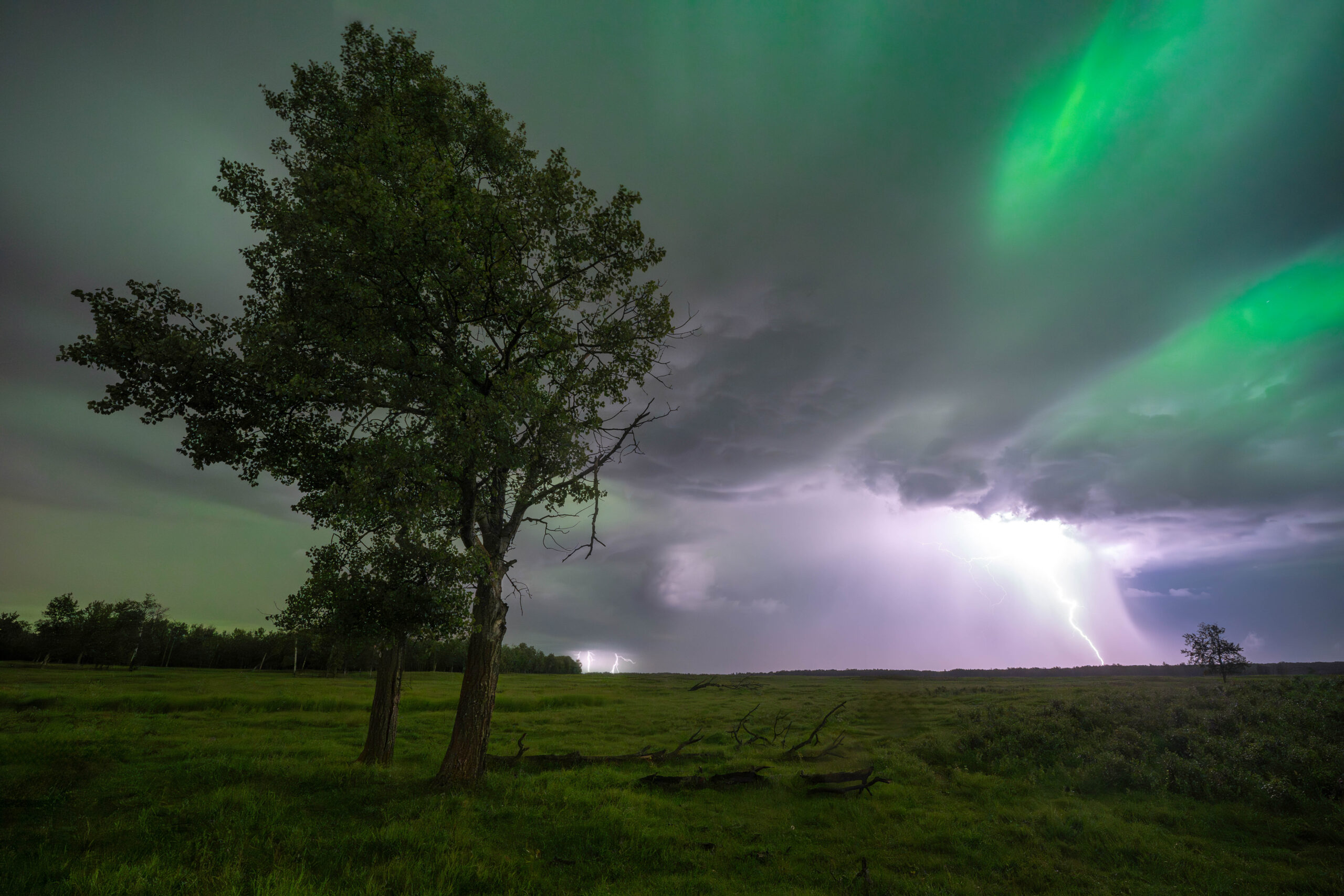 A gorgeous night with a kp 7 aurora dancing through the clouds of an electrifying lightning storm out at Elk Island National Park.