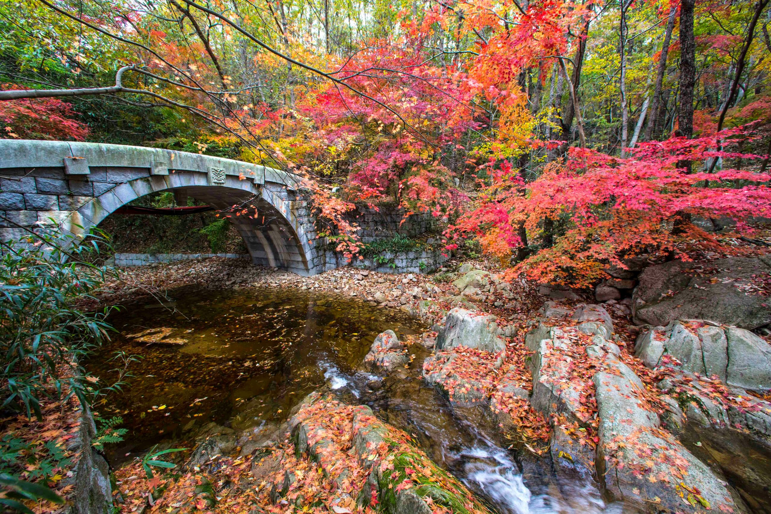 Jirisan National Park in South Korea in autumn.