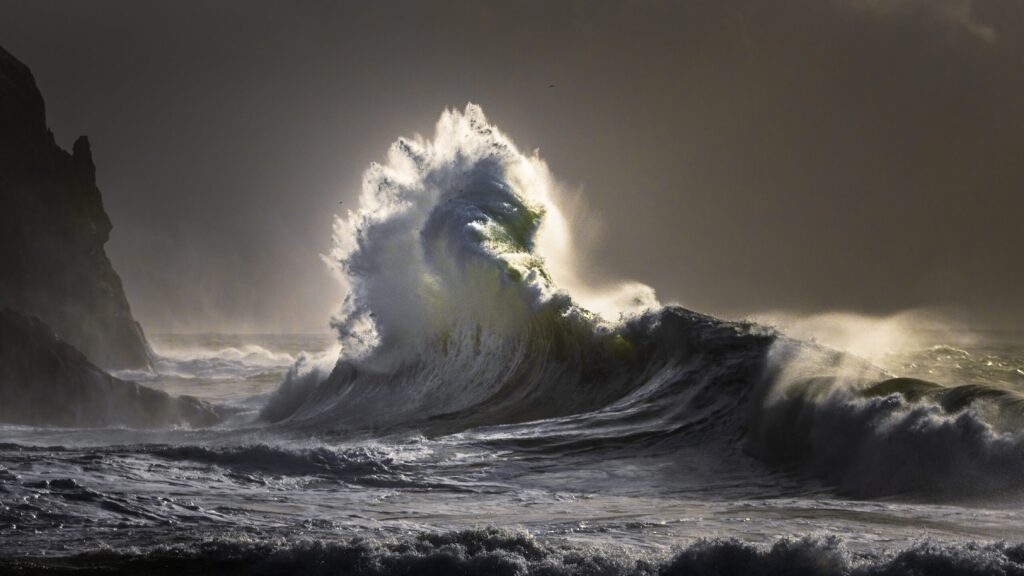 "Sea Dragon," photo by Chris Elkinton